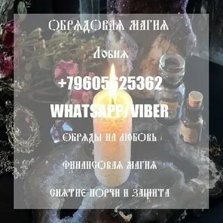 Маги липецк