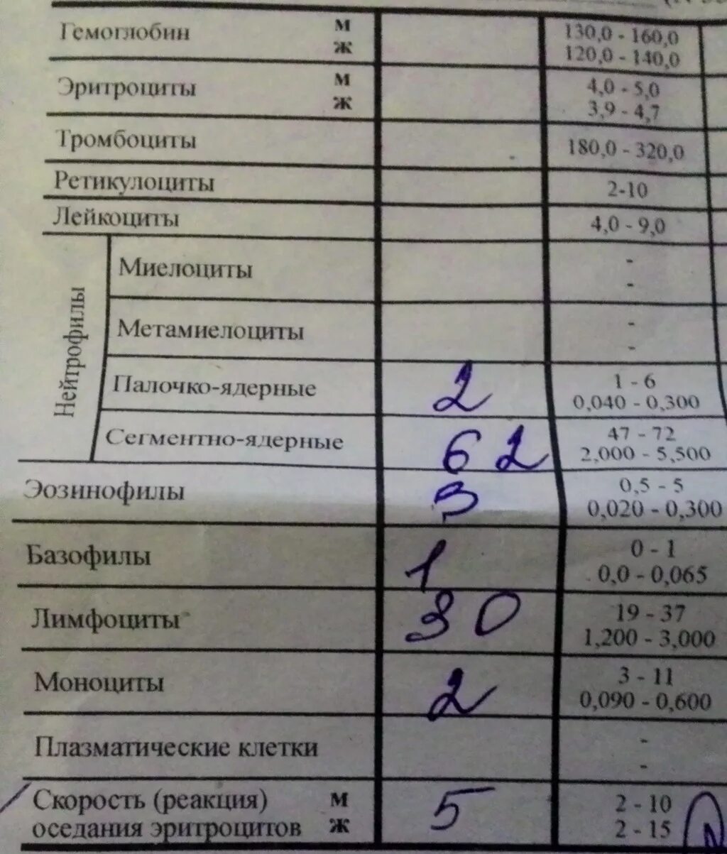 При заборе крови на гемокультуру направление оформляется. Анализ крови на стерильность. Результаты анализа крови на стерильность. Анализ крови и мочи. Направление на анализ крови на стерильность.