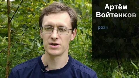 Войтенков мысли