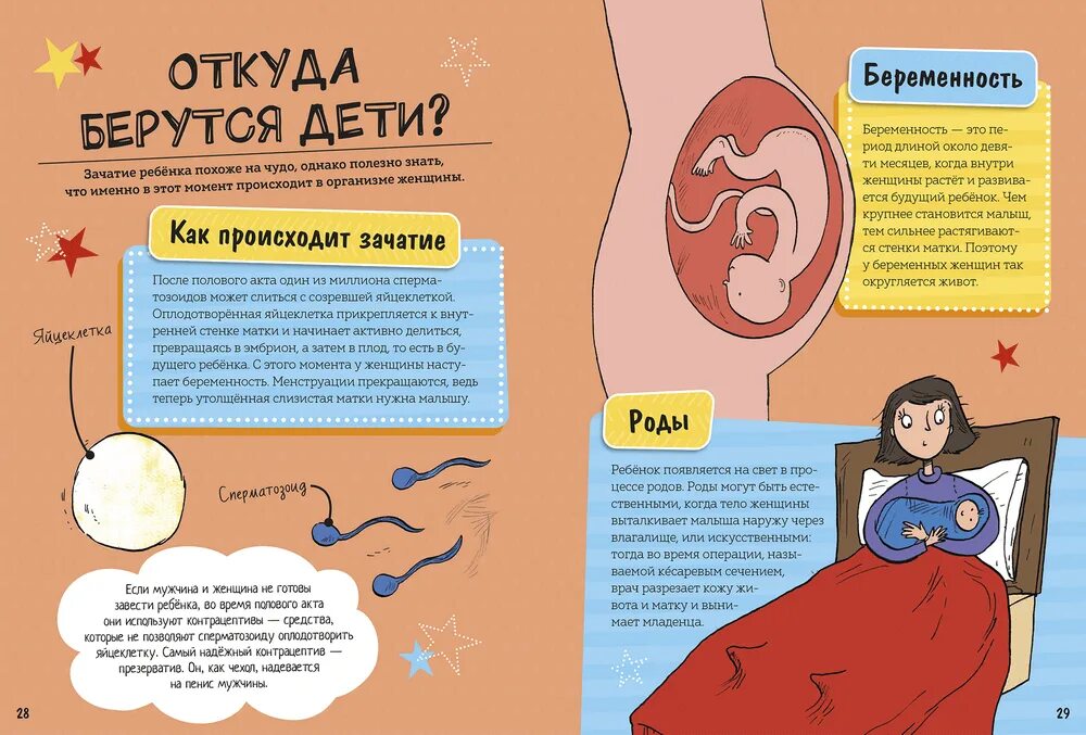 Книга как взрослеют девочки. Как растут девочки книга. Как взрослеют девочки читать. Как взрослеют девочки. Книга для детей о взрослении.