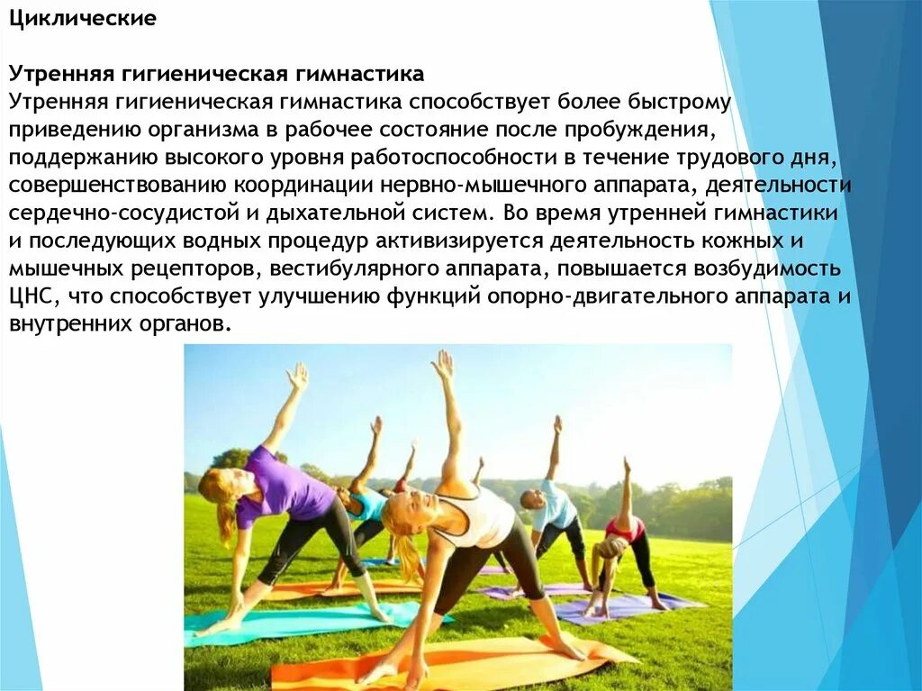 Программа физры