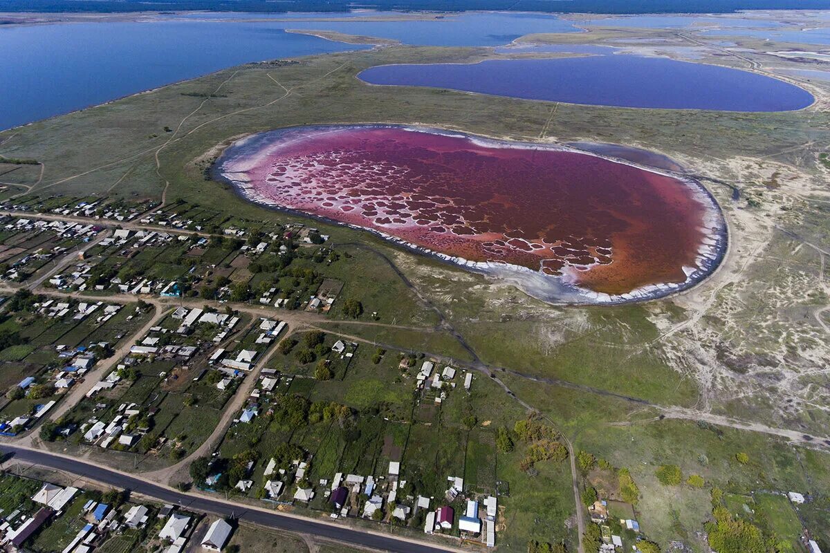 Розовое озеро на алтае. Малиновое озеро Алтайский край Михайловский район. Малиновое озеро (Михайловский район). Малиновое озеро Алтай. Красное озеро Алтайский край.