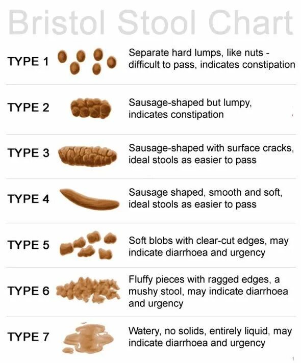 Constipation перевод. Bristol Stool Chart. Диаграмма стула Bristol. Constipation. Types of constipation.