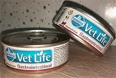 Vet life консервы. Vet Life корм для кошек консервы. Gastrointestinal консервы. Фармина Gastrointestinal для кошек. Фармина гастро консервы.