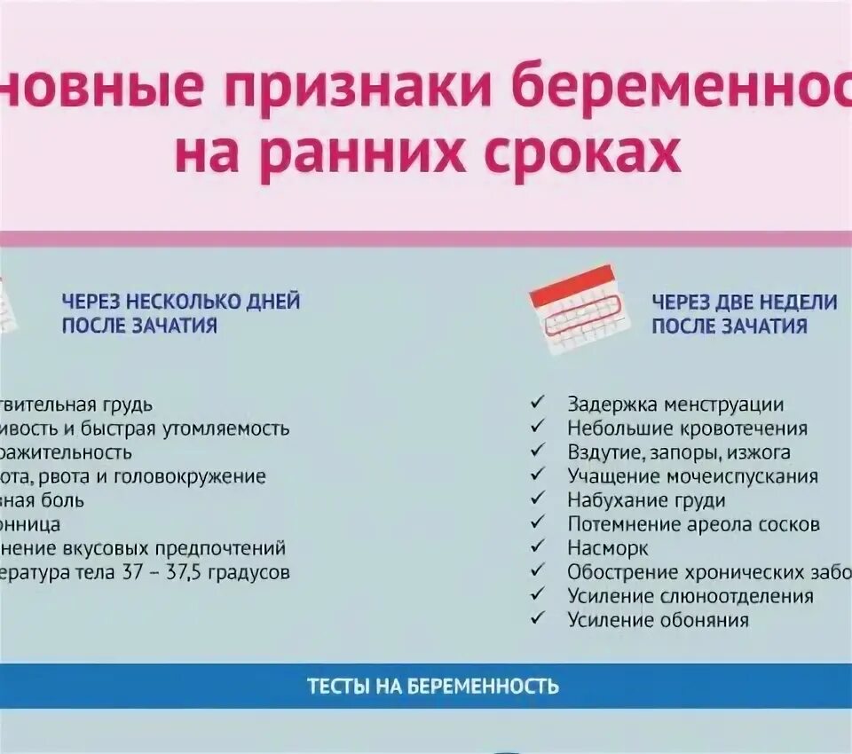 Когда узнают о беременности после зачатия. Симптомы беременности на ранних. Пенвые симптомы беремен. Признаки беременности на ранних сроках. Беременность ранний срок симптомы беременности.