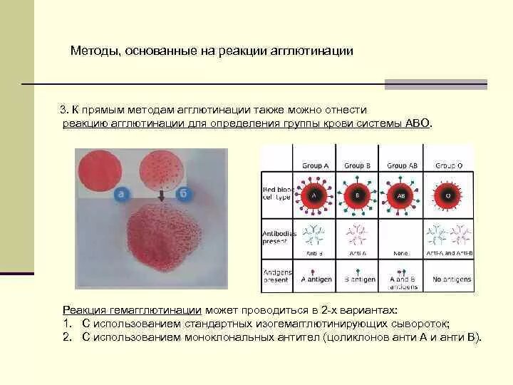 Реакция агглютинации антиген. Реакция агглютинации антиген антитело. реакция агглютинации. моноклональные антитела. алгоритм реакции агглютинации. реакция агглютинации для определения антител.