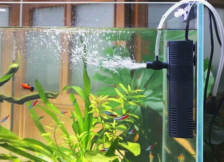 fish tank air pump vs filter - status-mf.ru.