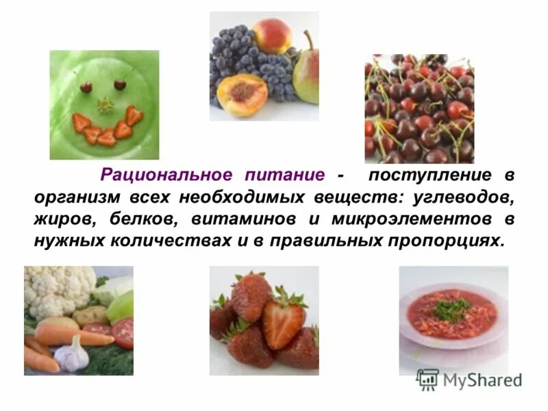 Задачи здорового питания. Рациональное питание. Научная работа питание. Здоровое питание залог крепкого здоровья. Научная работа питание.