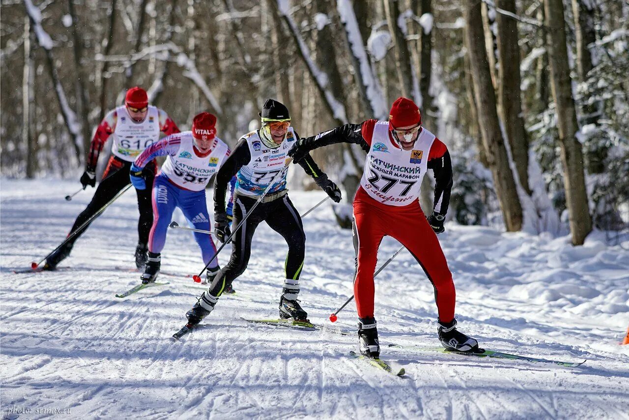 Зимние мероприятия. Лыжи соревнования. Соревнования по лыжам. Лыжники барнаула. Спортивные соревнования в доу.