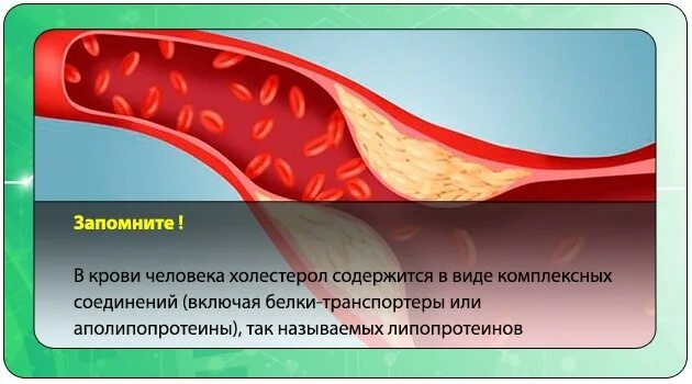 Холестерин. Вредный холестерин. Холестерин в крови. Холестерин фото.