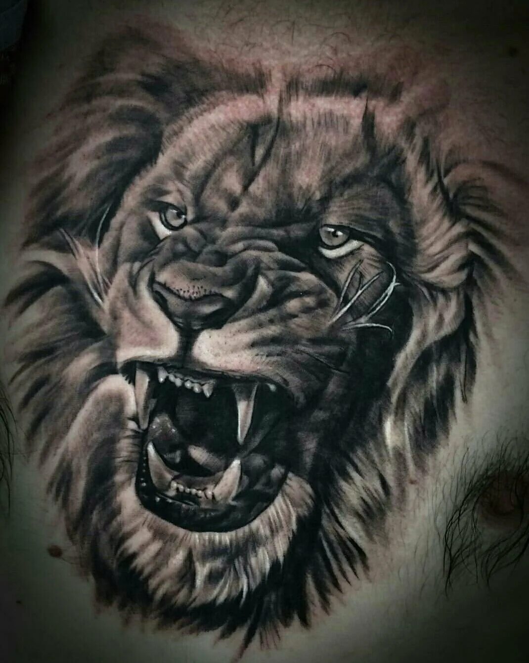 Тату оскал тигра на плече. Оскал льва значение. Тату на плече мужские. Тату со львом для мужчин. Львиный оскал тату.