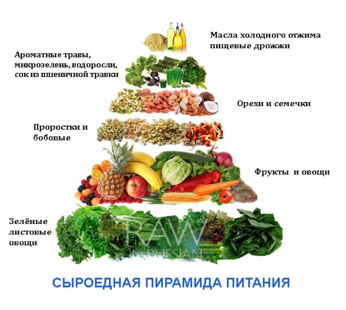 Здоровые продукты питания. Вегетарианство пирамида питания. Список продуктов для здорового питания. Пищевая пирамида сыроеда.