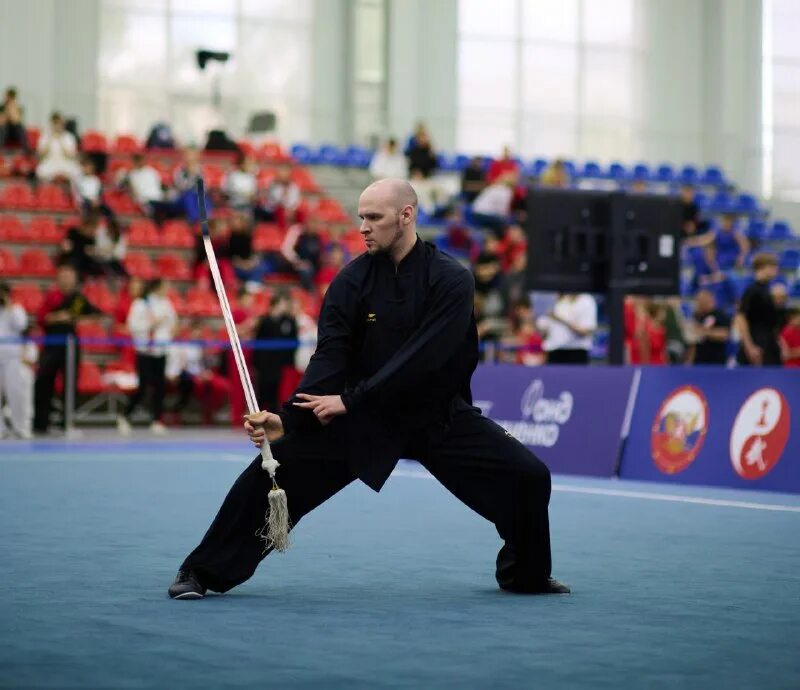 московские звезды ушу 2024