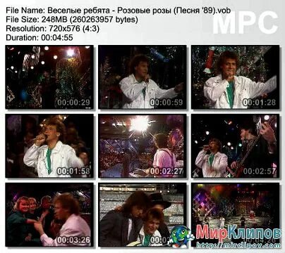 Веселый ребята розовые. Весёлые ребята розовые розы. розовые розы песня. песня розовый. розовые розы песня веселые ребята.
