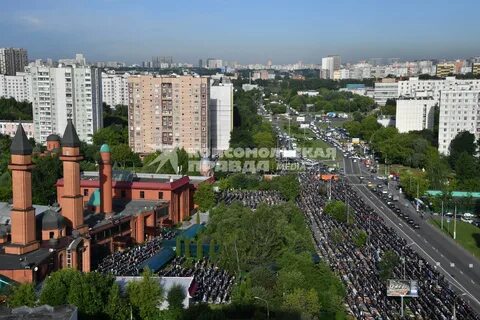 Возле отрадного