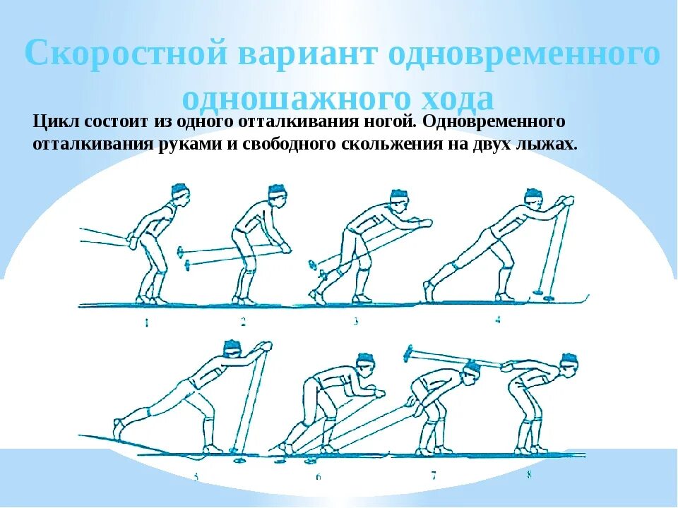 Лыжный спорт виды лыжных ходов. Одновременный одношажный классический лыжный ход. Двухшажный бесшажный лыжный ход. Техника лыжных ходов одношажный ход двухшажный. Одновременный одношажный ход цикл хода.