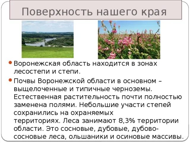 Основные сведения края