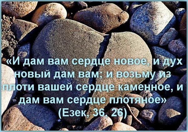 каменное сердце смысл. каменное сердце значение выражения. статусы про обиды и разочарования. афоризмы про каменное сердце. сердце камень.