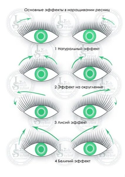 наращивание ресниц 2д лисий эффект изгиб д. ресницы 2д лисий эффект 12мм. реснички 4д изгиб l. 5д изгиб l. ресницы 5д кукольный эффект голливуд.