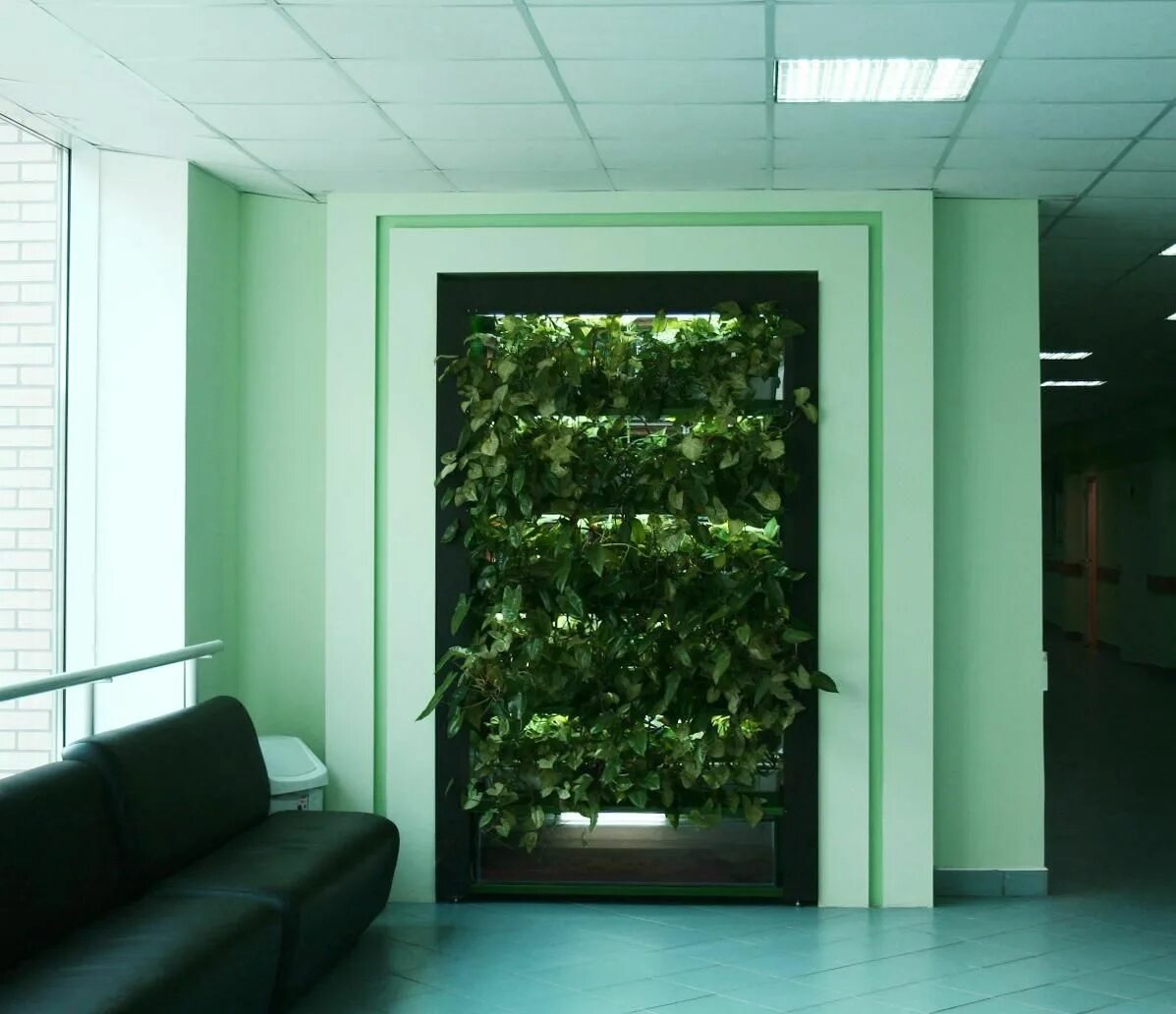 Аппаратно биологический комплекс зеленая стена. Зеленая стена с белыми масками. Бело зеленые стены подъезда. Project "зеленая стена" в Китае..