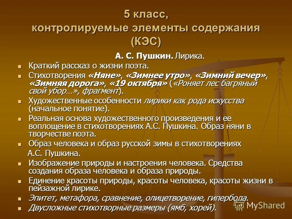 Контролируемые элементы. Контролируемые элементы