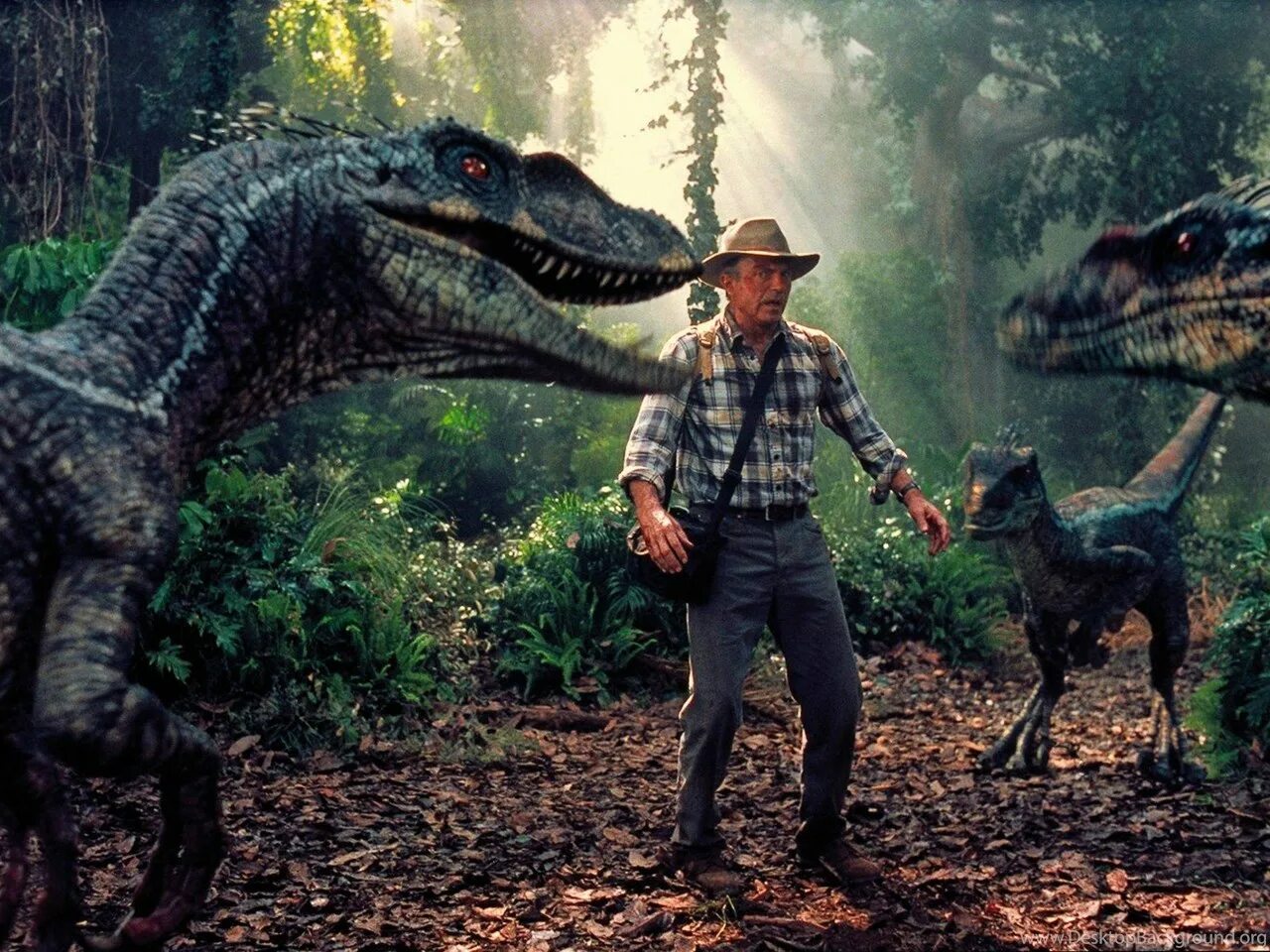 Кто является разработчиком jurassic park