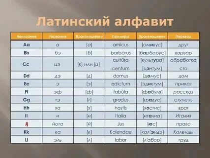 Язык лит слова