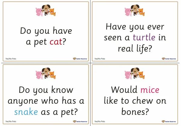 Questions about pets. Yes no questions game for Kids. Yes or no game. Yes no funny questions. Yes or no questions.