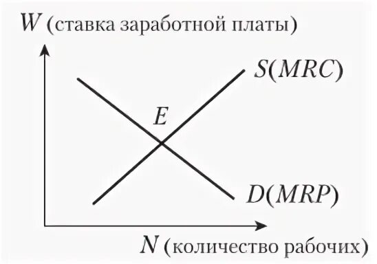 Рынок труда микроэкономика