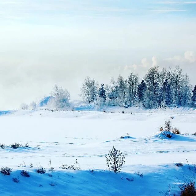 капли сибирская зима. сибирь зима новый год. зима в сибири фотопазлы. зима-красавица омск. капли сибирская зима.