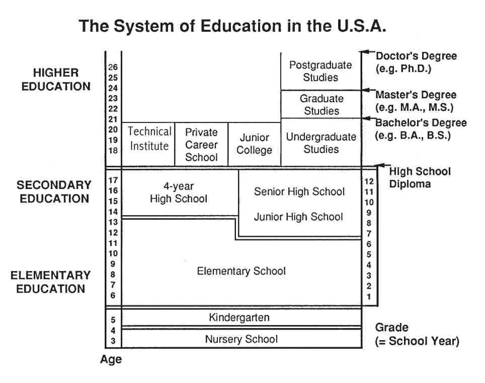 The system английский. Структура образования в США схема. Система образования в Америке схема. Education System in the USA таблица. Схема образования в США на английском.