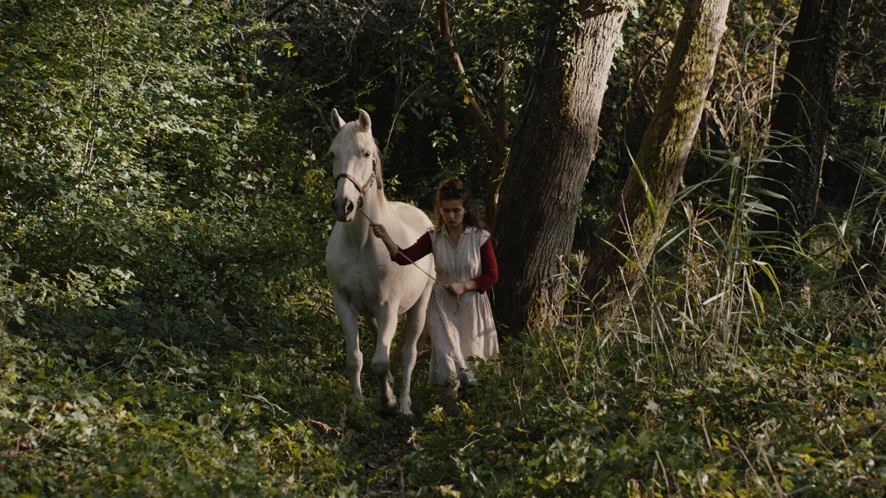 14 + фильм. Italian best shorts 5 жизнь как чудо. Italian best shorts 5 жизнь как чудо. Italian best shorts 5 жизнь как чудо. Italian best shorts 5 жизнь как чудо.