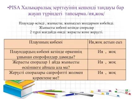 Аға әпкенің секс селфиі