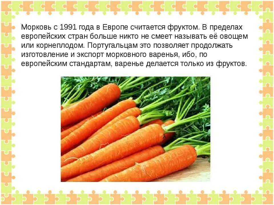Морковь. Интересные морковки. Рассказать о морковке. Доклад о морковке.