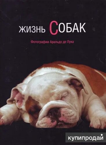 Книга жизнь собаки. Книги про собак. Книги о собаках Художественные. Собачья жизнь книга.