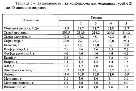 Ячмень уткам можно давать