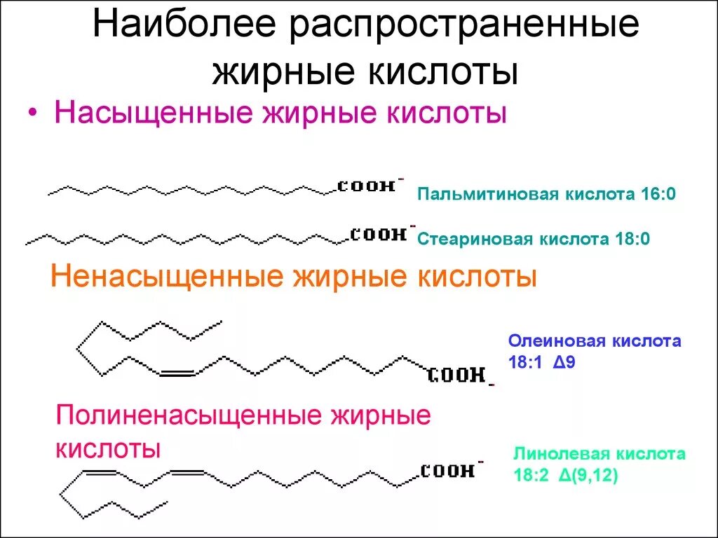 Линолевая кислота свойства. Общая формула насыщенных жирных кислот. Строение насыщенных и ненасыщенных жирных кислот. Олеиновая кислота линолевая кислота. Общая структурная формула жирных кислот.