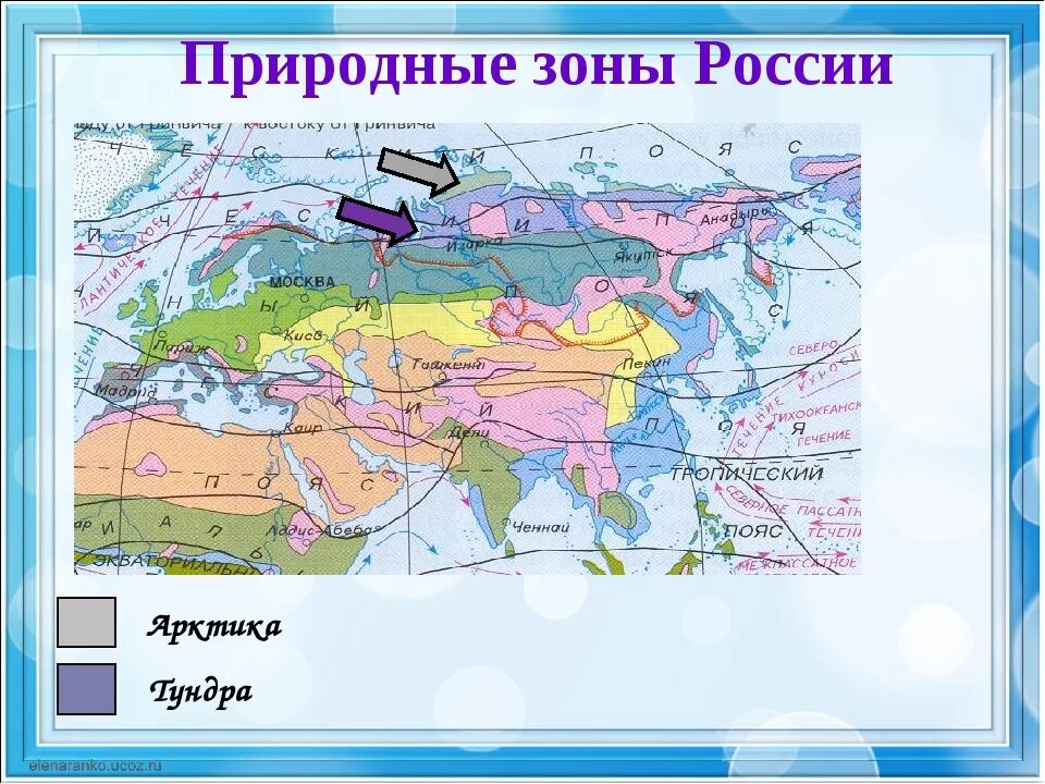 Природная зона сочи 4 класс. Природные зоны России. Карта природных зон России. Проиподгные зоны Росси. Природные зоны 4 класс.