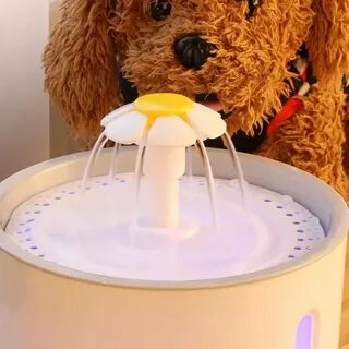 Xiaomi pet fountain