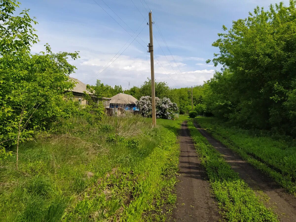 Ни обл. Деревни и села тамбовской области. глухая деревня. заброшенные деревни тамбовской области. русская деревня тамбовская область.