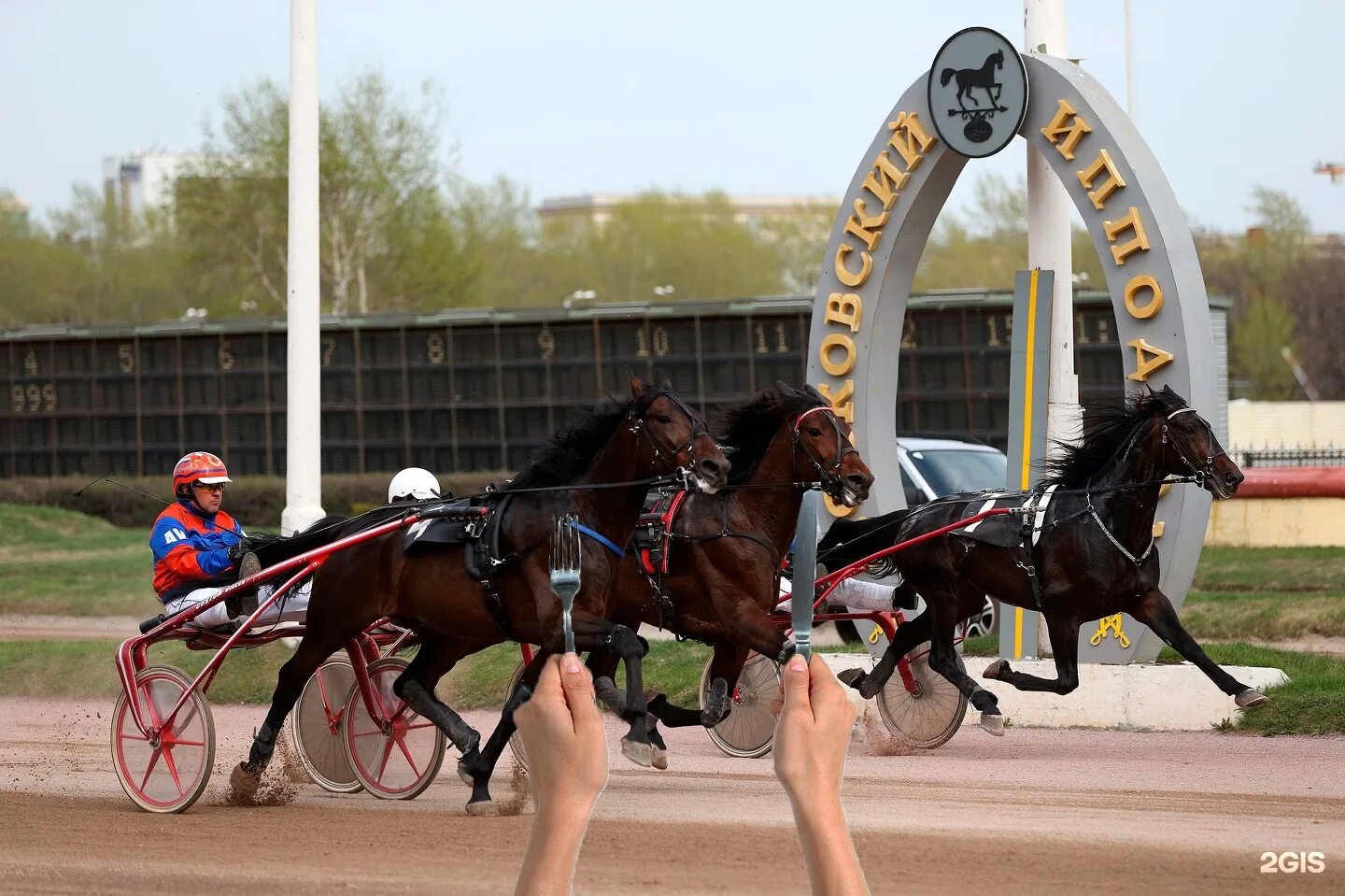 Красноярск улица соревнования 20 красноярский ипподром. Центральный московский ипподром скачки. Ипподром улица. Соревнования красный. Москва беговая улица 22 центральный московский ипподром.