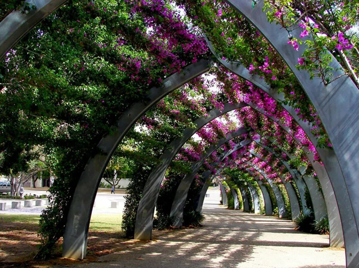 Самые удивительные парки. Цветочная аллея Айя Напа. Туннель деревья национальный парк Италия. Ботанический парк Айя Напа. Глициния арка Греция.