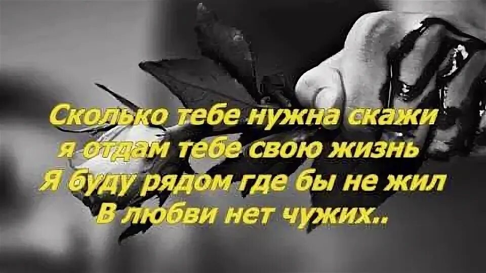 Сколько тебе нужно скажи я отдам. В любви нет чужих. Любви нет. В любви нет чужих текст песни Эллаи. Сколько тебе нужно скажи я отдам тебе свою жизнь текст.