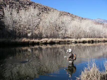 East fishing
