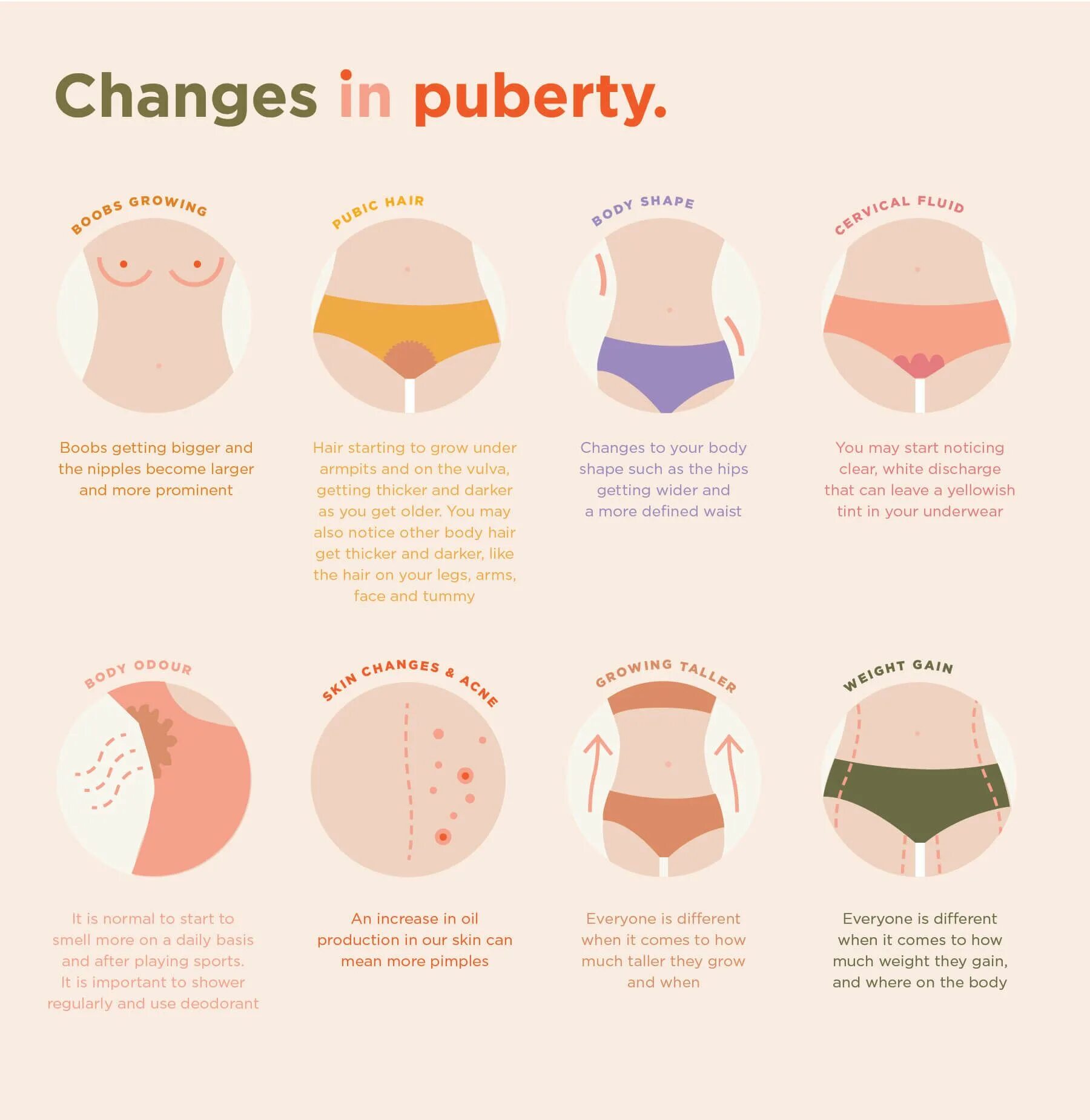 Puberty changes. Period products.