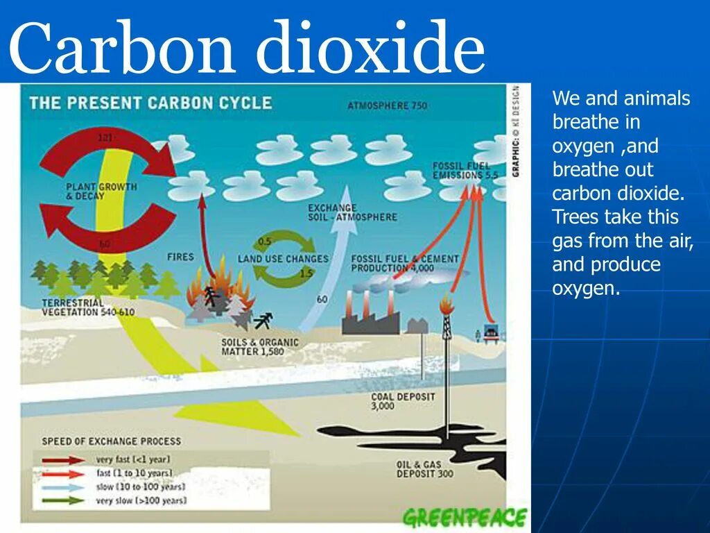 Carbon dioxide emissions. Carbon dioxide and Oxygen Cycle. Carbon in atmosphere. Carbon Cycle.