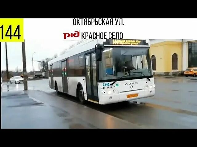 Автобус 144. 144 Автобус в Красном селе.