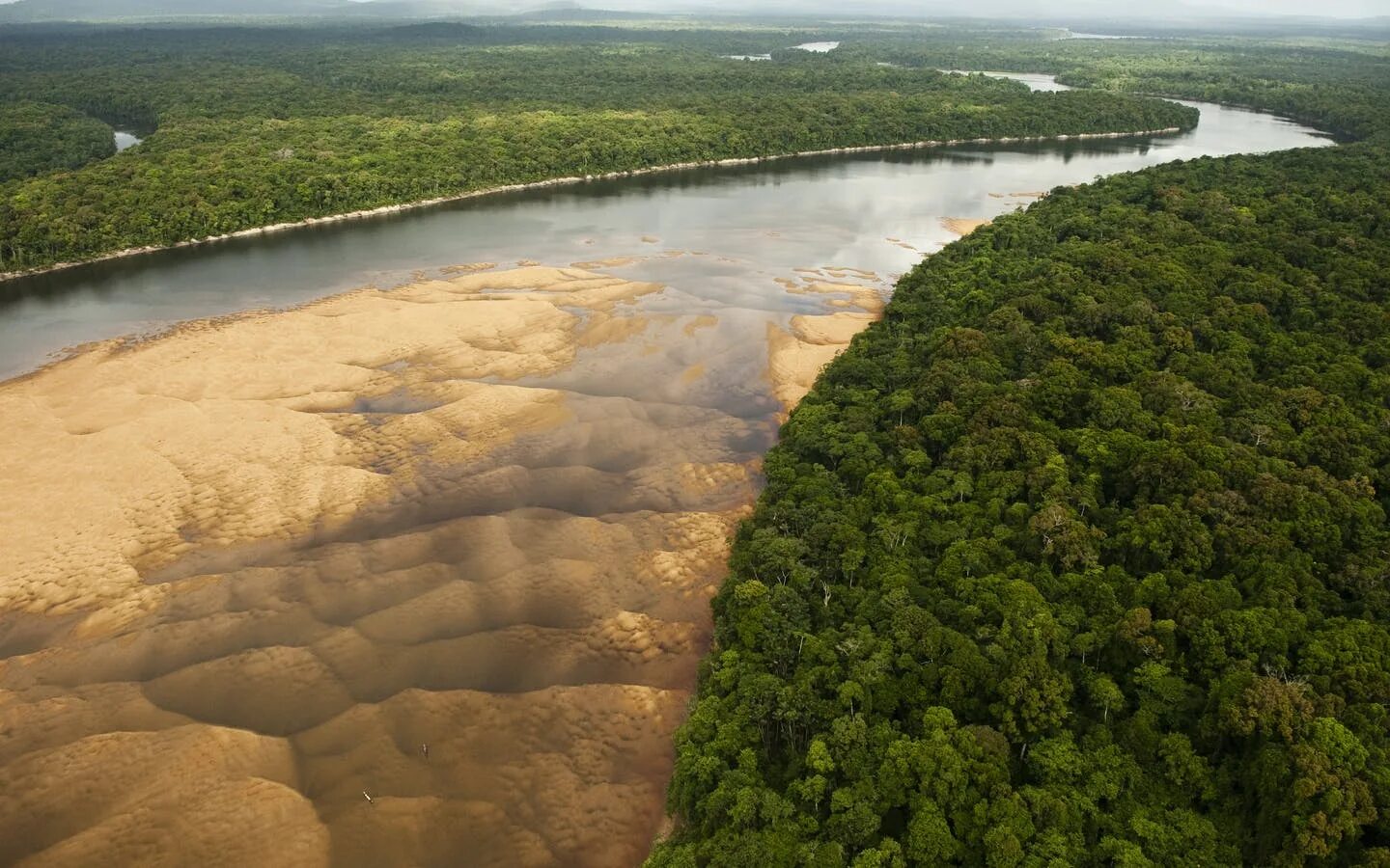 Река на юге страны. Южная Америка река Амазонка. Гайана-Эссекибо. Миссисипи Парана Ориноко Амазонка. Ориноко Бразилия.
