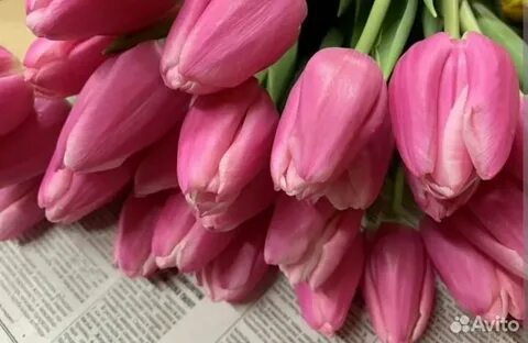 Кавказ қыздарымен жеке секс видео