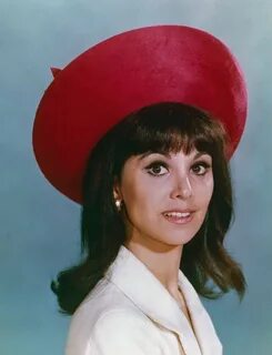 The Donna Reed Show, Spring Swim, Girls Tv Series, Barefoot In The Park, Ma...